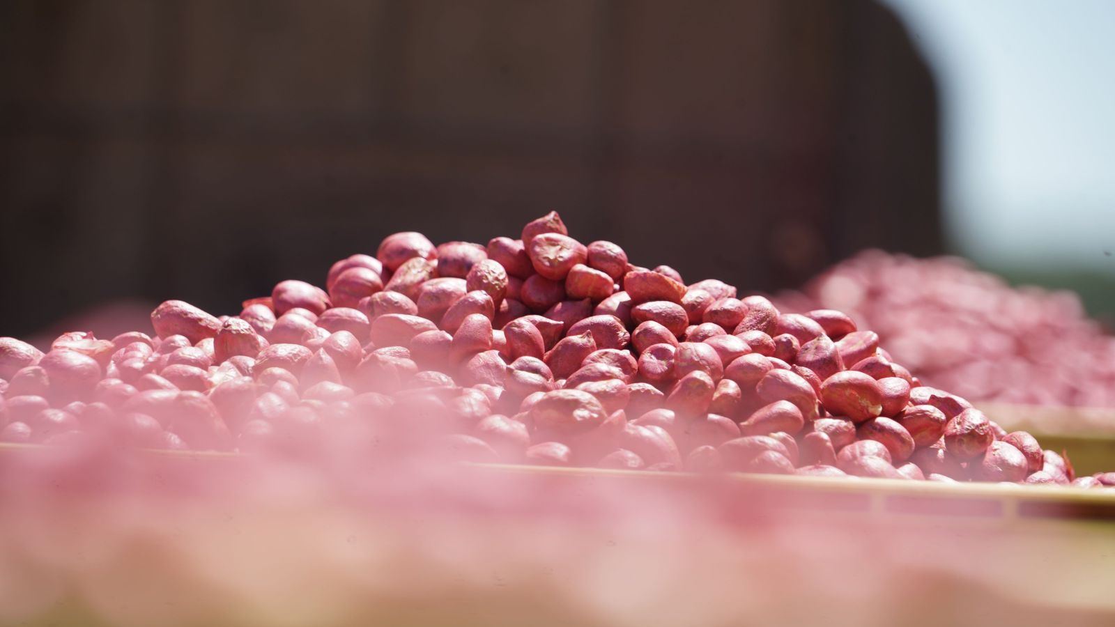 Every Great Crop Starts Long Before Planting.