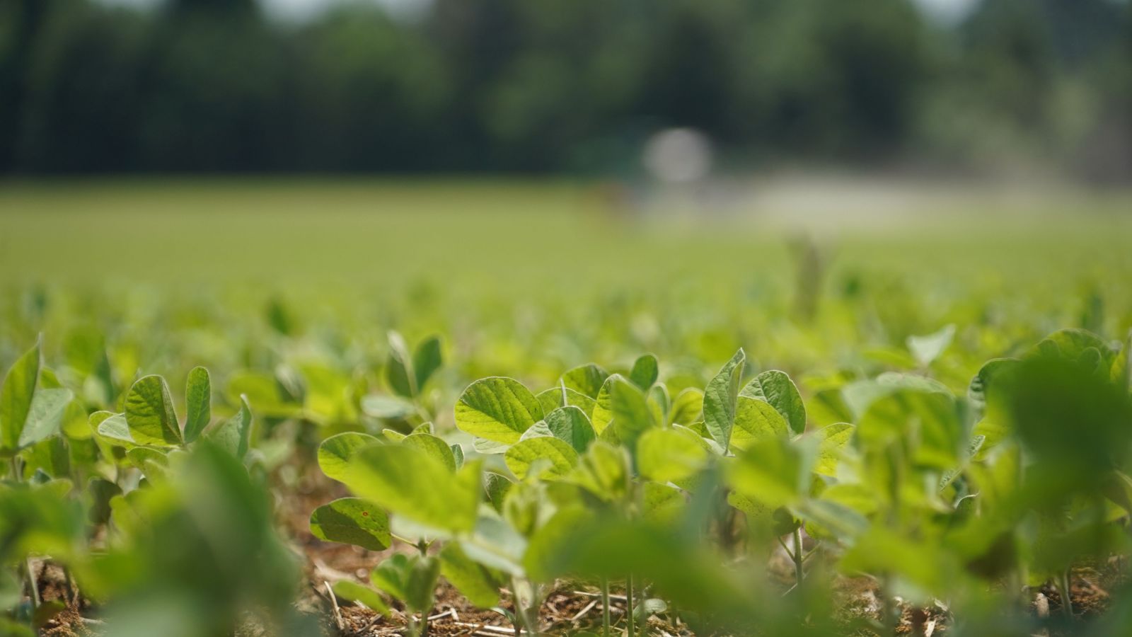 Better Decisions Start in the Field.