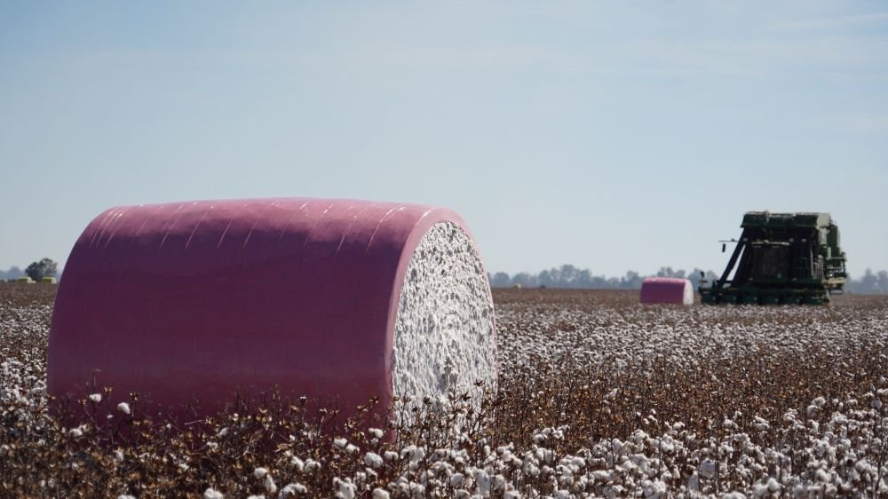 pink-cotton-bale