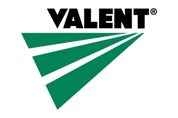 Valent Logo