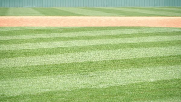 Sports Fields