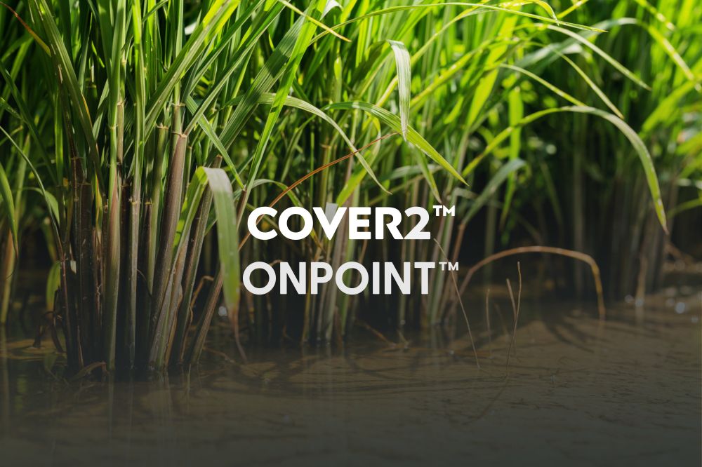 Protect Your Nitrogen Investment