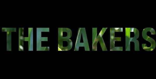 S3.E2 - 2A Program