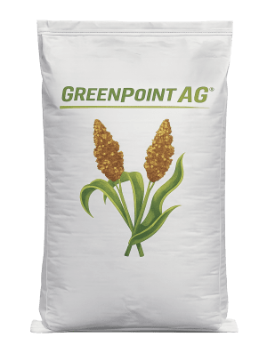 White Bag with GreenPoint Logo and Sorghum Image