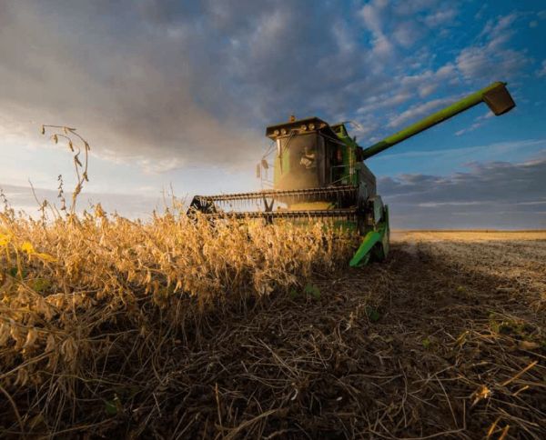 Harvest Checklist
