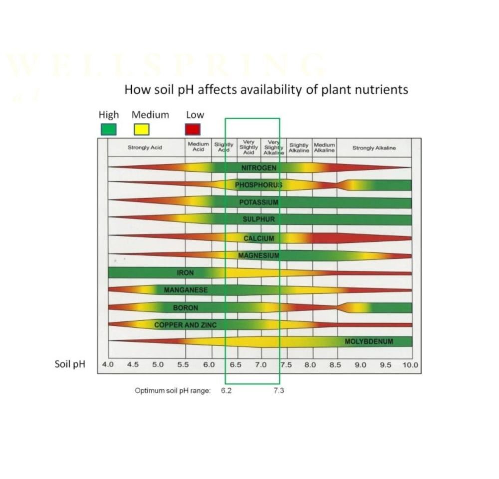 Making Every Dollar Count: Why Quality Lime and pH Management Matter More Than Ever