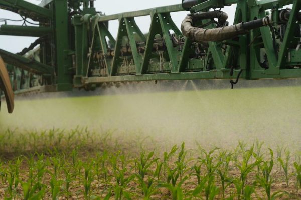 How to Choose the Right Oil-Based Adjuvant for Spring Weed Control