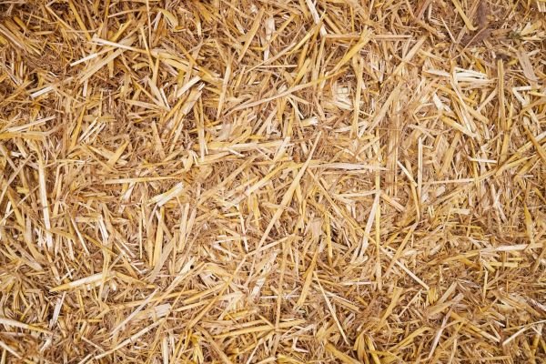 Don’t guess, test: why every field deserves a lab report