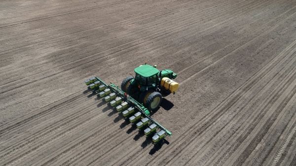 6 Tips For Determining Planting Dates