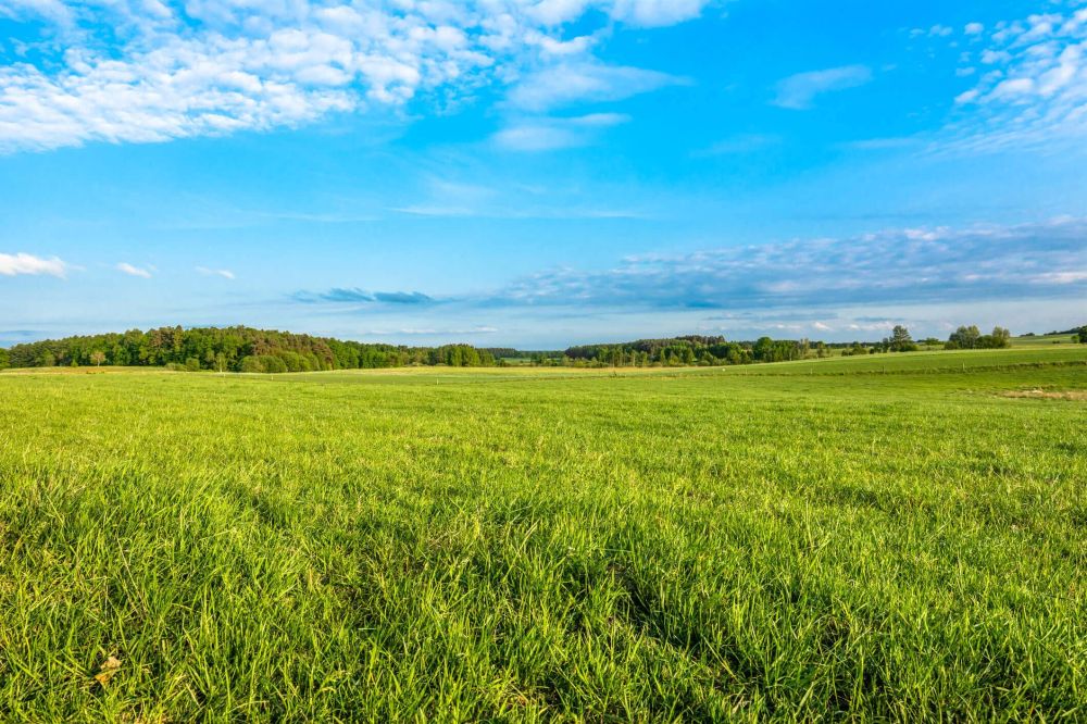 Fertility Focus – Pasture And Hay Ground