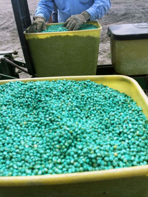 Managing 2020 CROPLAN&reg; Hybrids In The Mississippi Delta