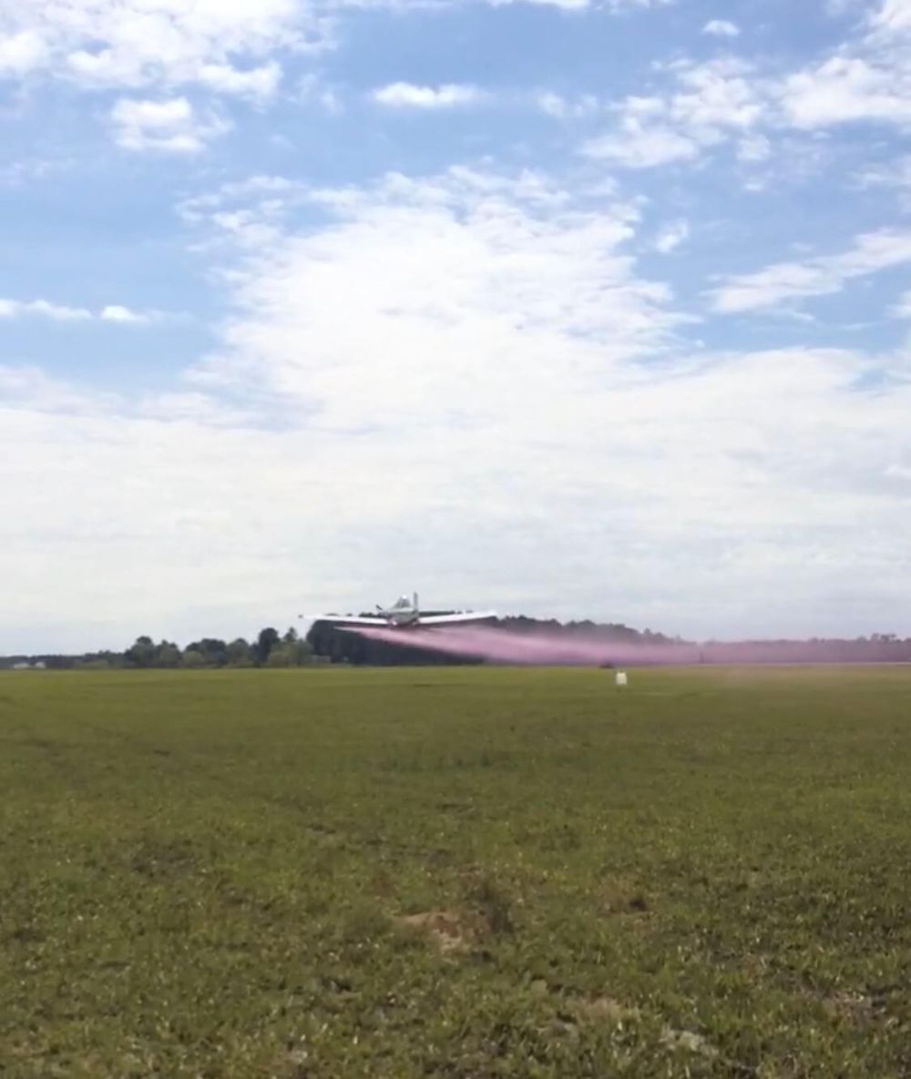 Maximize Your Spray Investment