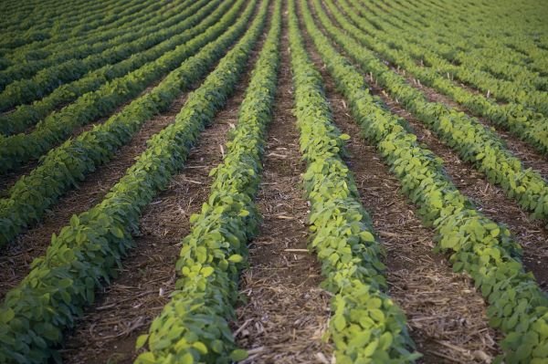 PREsidual&reg; Herbicide Offers Overlapping Residual Control And Resistance Management In Soybeans