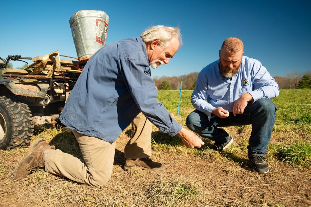 Sow Cold: Frost Seeding Clover