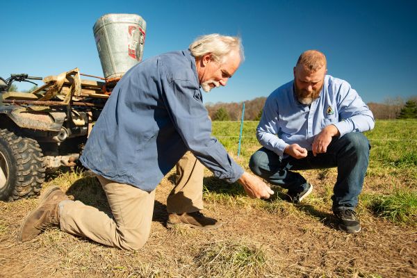 Sow Cold: Frost Seeding Clover