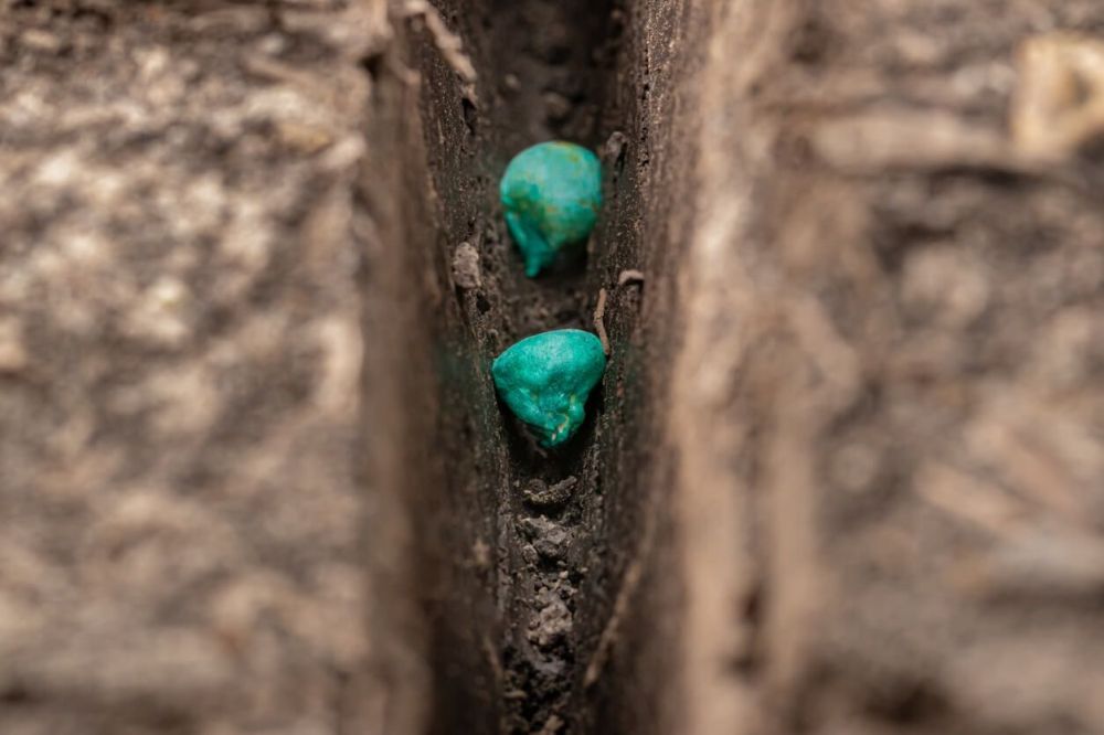 Agronomy And Technology Go Hand-In-Hand For Proper Seed Placement
