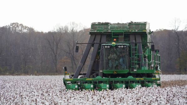 Cotton Harvest Checklist