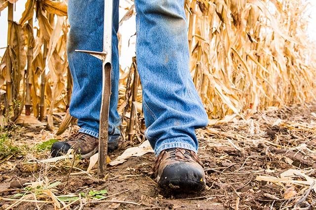Soil Sampling: Customization Remains The Key For High Yields