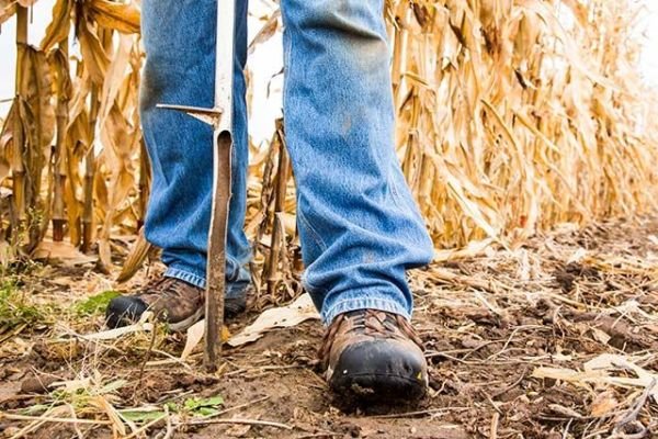 Soil Sampling: Customization Remains The Key For High Yields