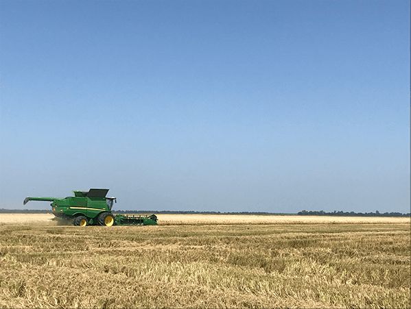 Yield Data Must Be Accurate For Your Operation To Benefit