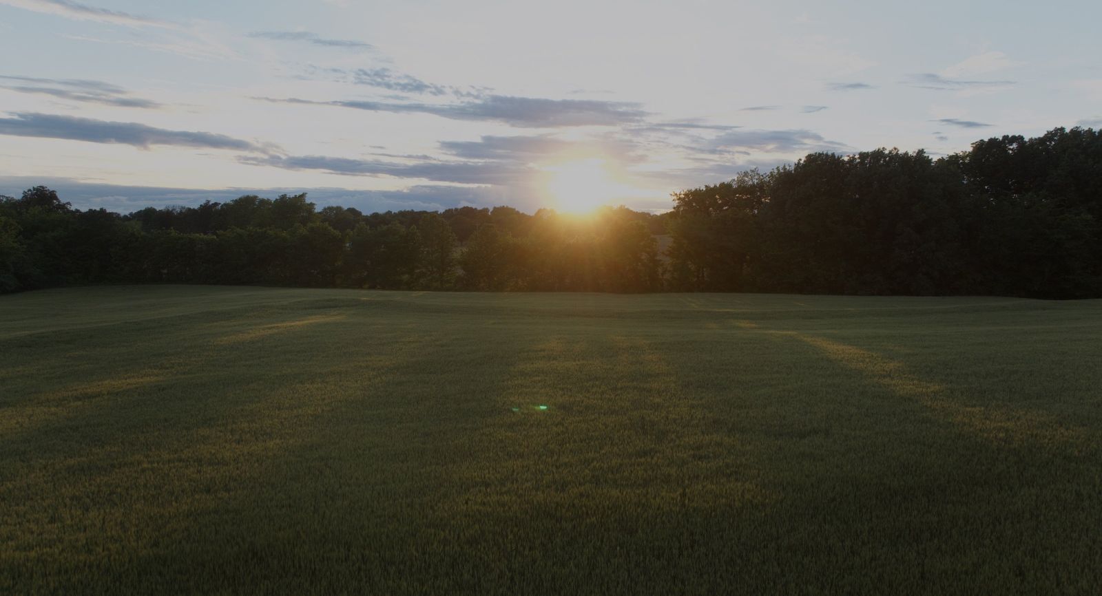 Continuously Improving Stewardship