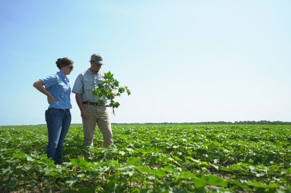 Tissue Sampling