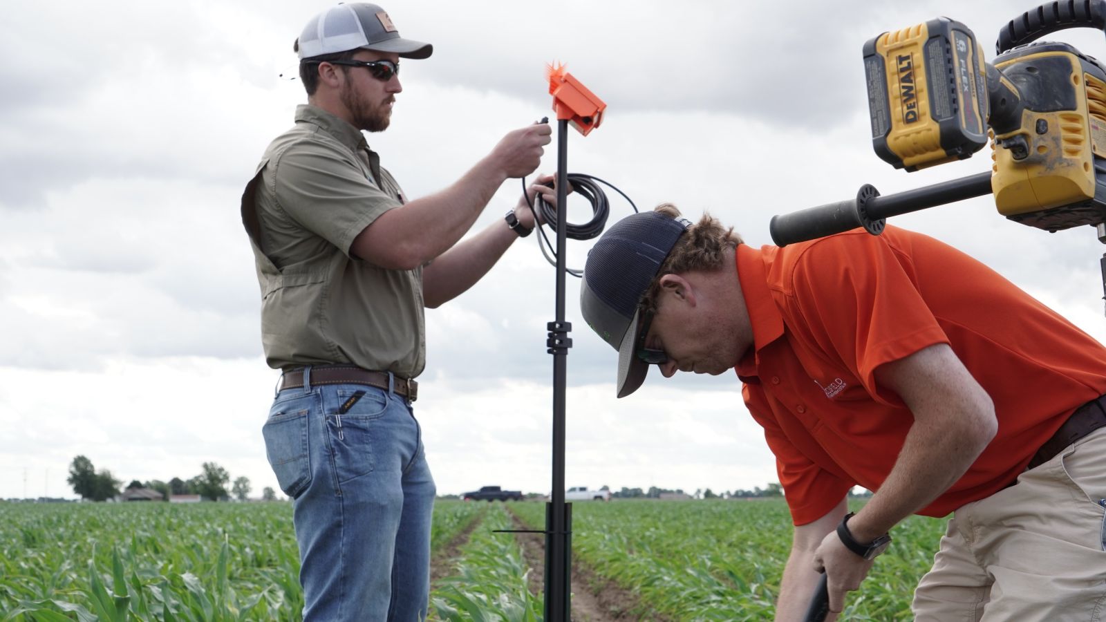Employees Installing Soil Moisture Sensor